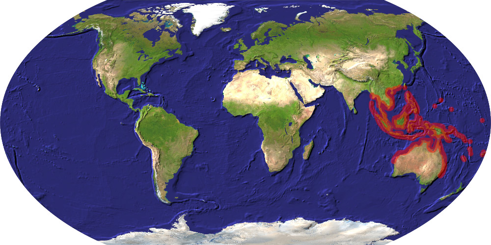 Rhizophora stylosa distribution